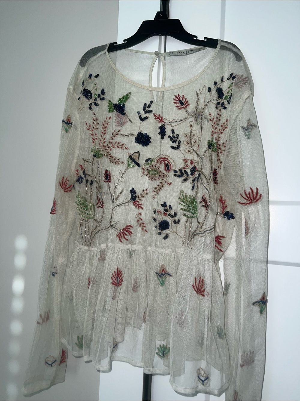 Zara Ivory Mesh Long-Sleeve Dress with Multicolor Floral Embroidery